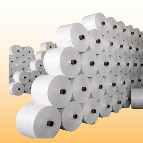 PP Roll supplier in India