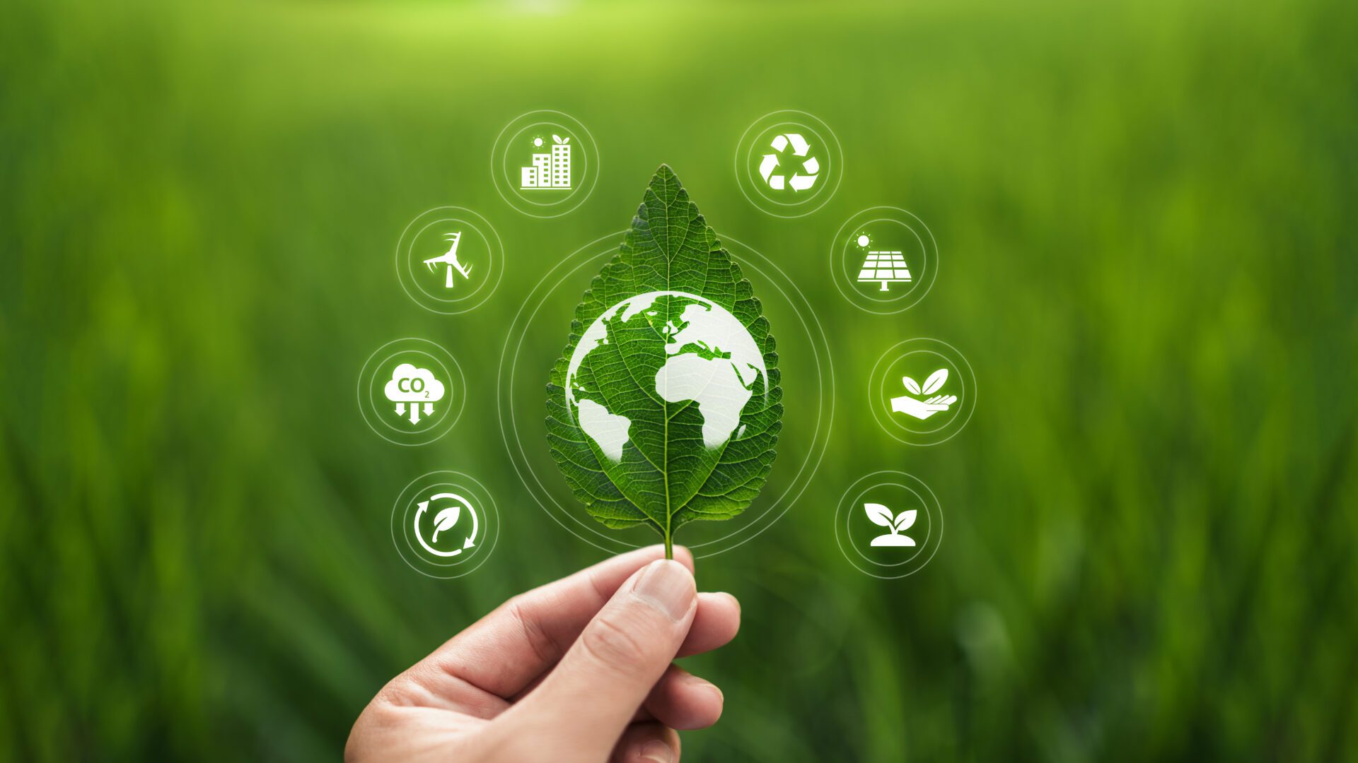 PP Woven bags manufacturer